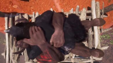 'Craving of the Wild: Breaking a Wolf's Virginity in the Forest'