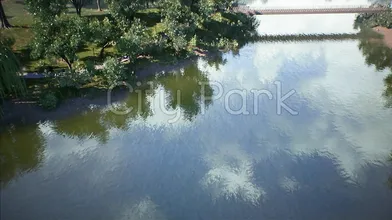 'The Sexy Adventures of Alice in the Big Bad City Park'