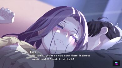 "Seira Bondage: The Perverted Artist"