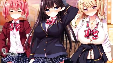 'The Eroge Voyeur Experience '