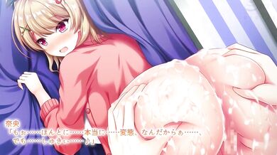 'The Eroge Voyeur Experience '