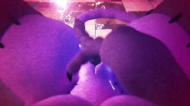 "The Sleeping Kitten and the Naughty Tomcat: An Erotic Adventure"