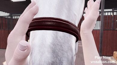 "Virtual Reality Stallion, A POV Adventure In Desktop Gaming!"