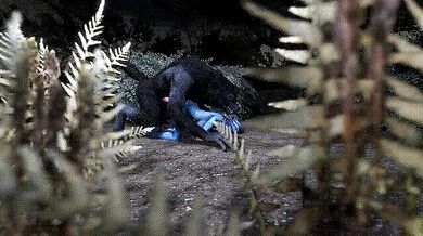 'Lustful Liara T'Soni Gets Raped by a Werewolf'