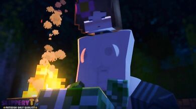Minecraft, Jenny and HMV