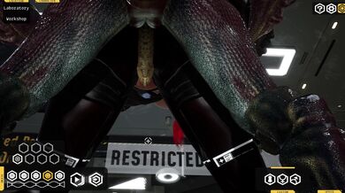 -------------------------