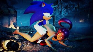 "Sonic the Hedgehog and Shahra have a steamy encounter in their hotel room after meeting up at a convention."