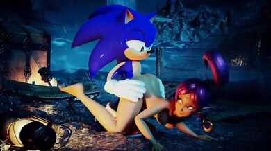 "Sonic the Hedgehog and Shahra have a steamy encounter in their hotel room after meeting up at a convention."