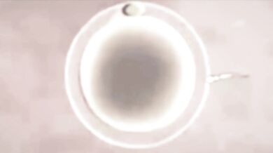 After a night of passionate lovemaking, Uraraka finds herself impregnated by an entire crowd of lecherous men.