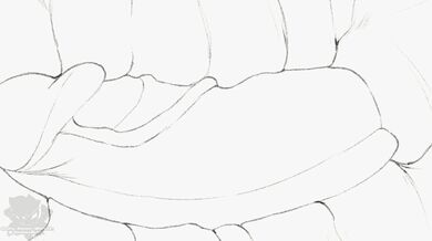 "Forbidden Love: A Naga's Impregnation Animation"