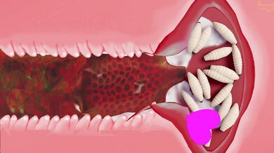 'One-on-one with the juicy sisters: Insect sex, MMD style'