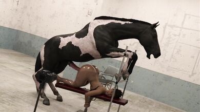 'The Stallion's Pet'