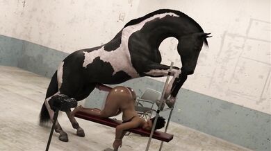 'The Stallion's Pet'