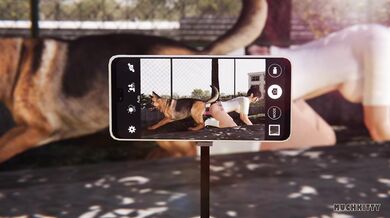 'Teacher's pet: A canine erection causes the naughty student to swoon on the playground'