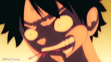 "Bleached HMV The One Piece is Real"