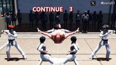 "Your Karate Challenge Has Failed, Do You Want To Continue The Challenge?"