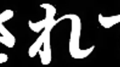 "Kinky Kitten's First Time On All Fours!"