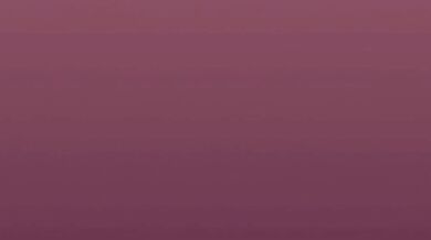 'Master of Discipline, My Wet Dream with Saki-Chan!'