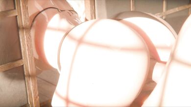 'Hinoa and Minoto Cowgirl [Outfit 2] Megaera'