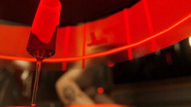 'Judith's Selling of her Body'