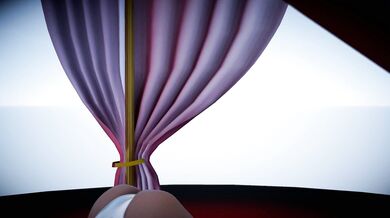 Insect-on-Insect Love Making - Secelia and Platymeris