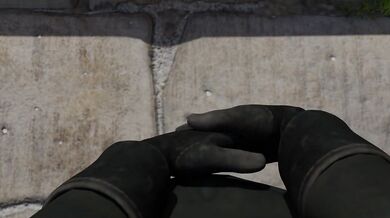 Please insert the correct answer in the text box below: