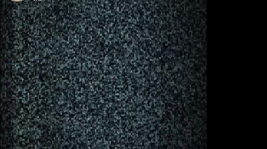 'The Venomous Trap of the Hunicorn Dildo'