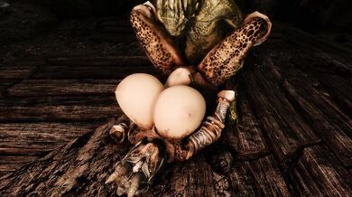 "The Lustful Adventure of Two Argonian Lovers"