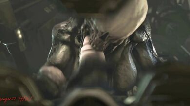 'The Ultimate Slave Bitch Collection'