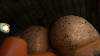 "Annabelle's Sexy Adventures in the Office!"