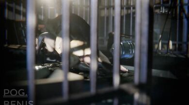 'K9 Krash Pad: Pet Hotel of Perversion'