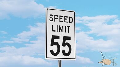 'Fast and Furious with Xiaoyu [ViciousFox]'