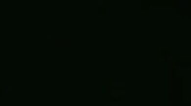 'The Lonely Woodsman's Secret Desires: Gurochanop'