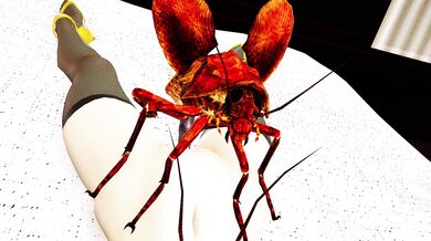 "Marin Yor Nino Roach Hotel (4K)"