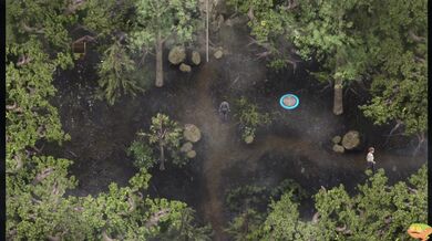 "Innocence Lost: The Seduction of a Maid"