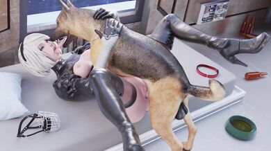"Dog Lovers Tribute to the Berokisu"