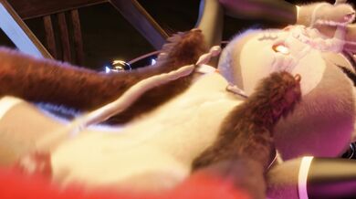 'Bunnies and girls exploring their sexuality- YMV (Reupload)'