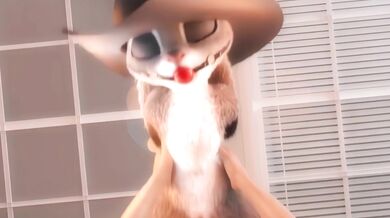 'Bunnies and girls exploring their sexuality- YMV (Reupload)'