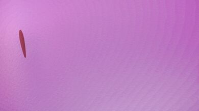 "Rocking out on the streets, Aqua and Lamy in an unexpected guerrilla performance!"