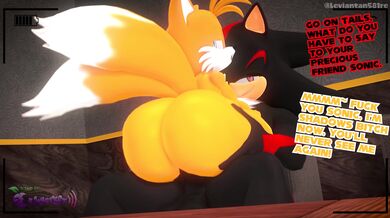 '"The Secret Lives of Sonic and Shadow"