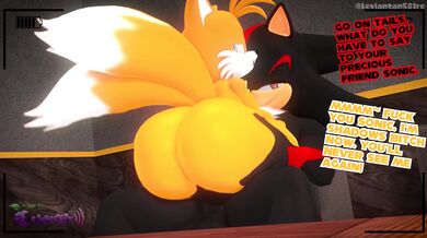 '"The Secret Lives of Sonic and Shadow"