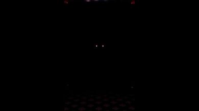 "Welcome to the world of Whitney, where she is always ready to please!"