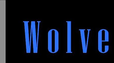 "Roughing up the furries: A purrrfectly yiffy PMV"