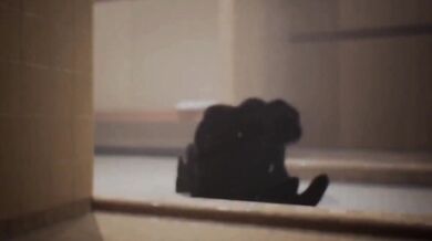 "Taken Over by a Parasitic Sex Organ: The Invasive Symbiosis of a Viral Outbreak"