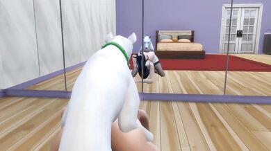 '"The Dog Lover's Secret Dream"
