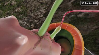 'Eclair’s Mystery Hentai Dungeon: Squeeze Semen Forest Part 1 [Seven Rord Junction]'