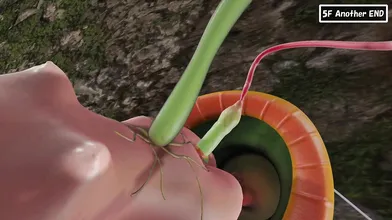 'Eclair’s Mystery Hentai Dungeon: Squeeze Semen Forest Part 1 [Seven Rord Junction]'