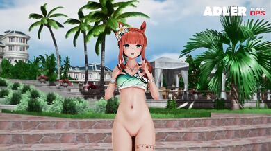 Pornstar Adler's Best Compilation Tapes #4