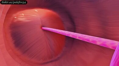 "Sexual Healing with Tifa - The X-Ray Guide to Fertilization"