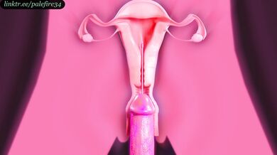 "Sexual Healing with Tifa - The X-Ray Guide to Fertilization"